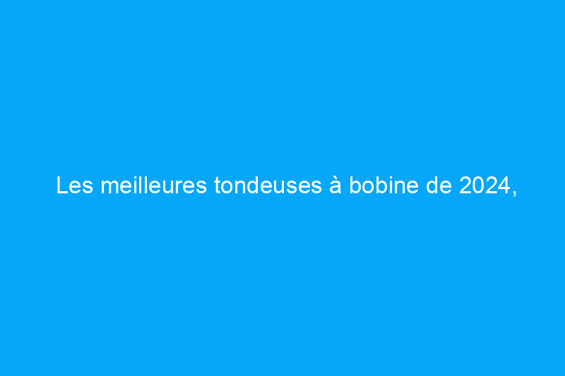 Les meilleures tondeuses à bobine de 2024, testées