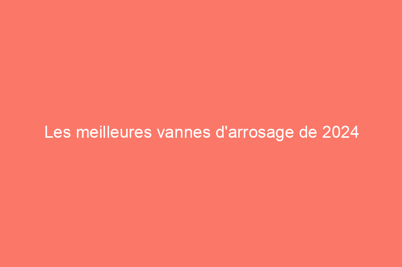 Les meilleures vannes d'arrosage de 2024 pour des plantes et des pelouses bien arrosées