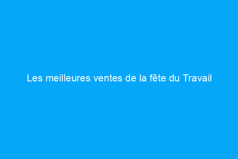 Les meilleures ventes de la fête du Travail 2021 : toutes les promotions à connaître dans tout le magasin, de l'Instant Pot à Dyson