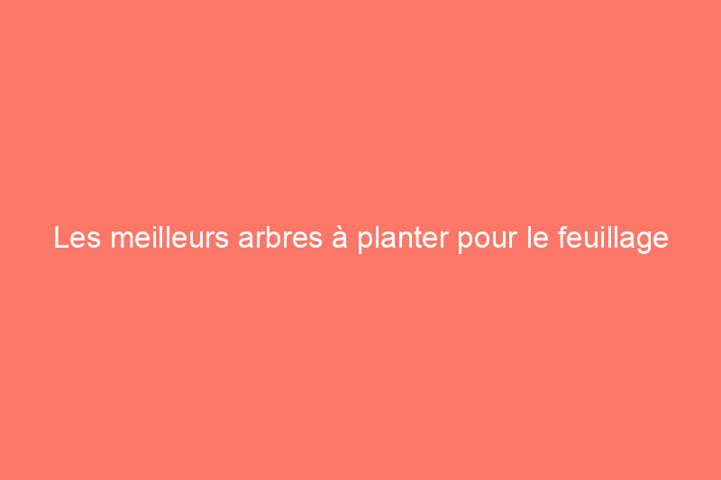 Les meilleurs arbres à planter pour le feuillage d'automne