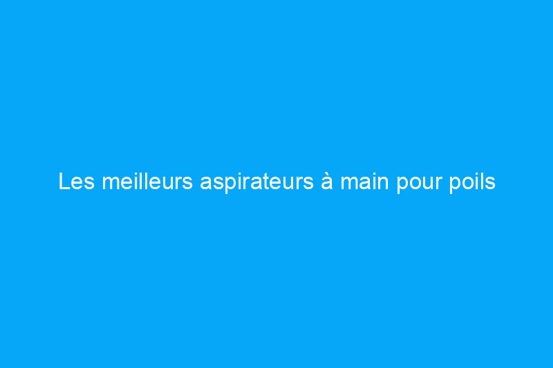 Les meilleurs aspirateurs à main pour poils d'animaux pour éliminer les poils des sols