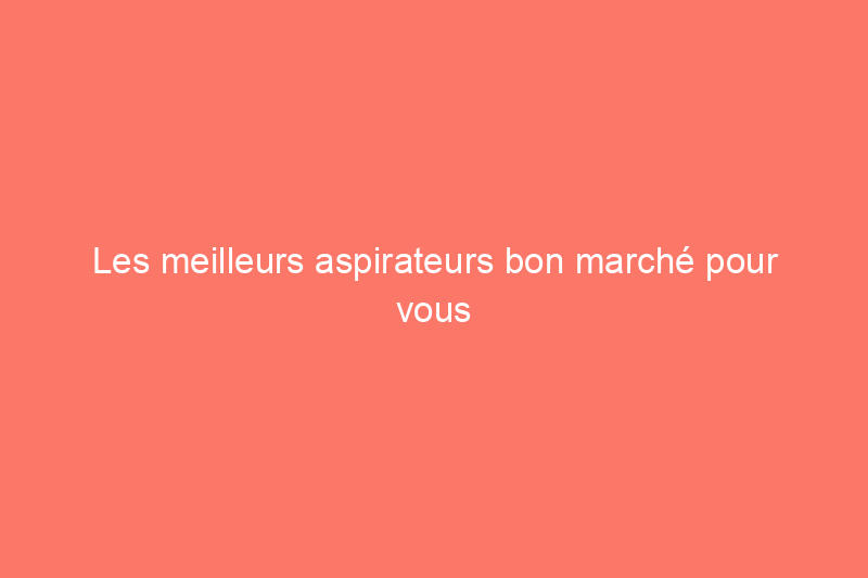 Les meilleurs aspirateurs bon marché pour vous aider à garder une longueur d'avance sur le désordre