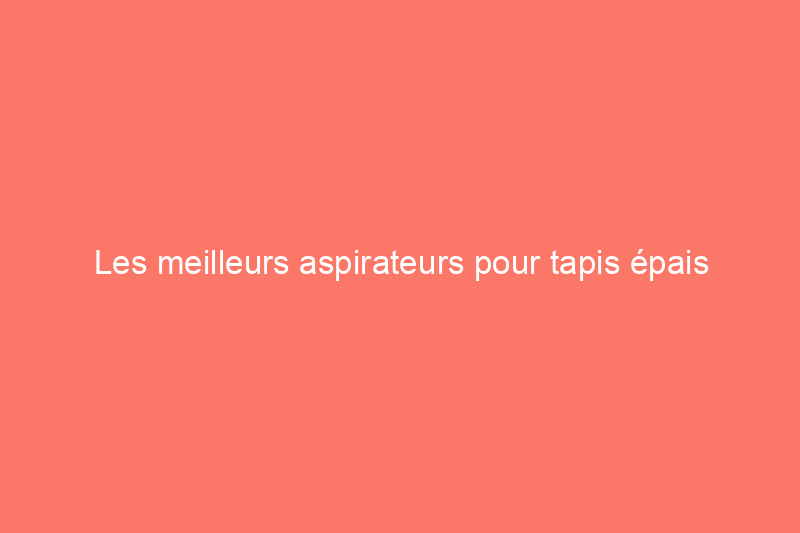 Les meilleurs aspirateurs pour tapis épais