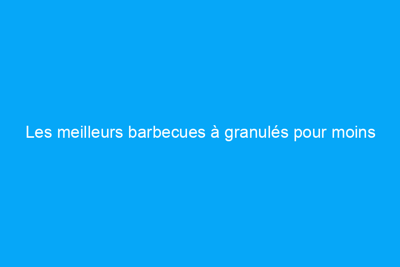 Les meilleurs barbecues à granulés pour moins de 1 TP4T500 à ajouter à votre jardin en 2024