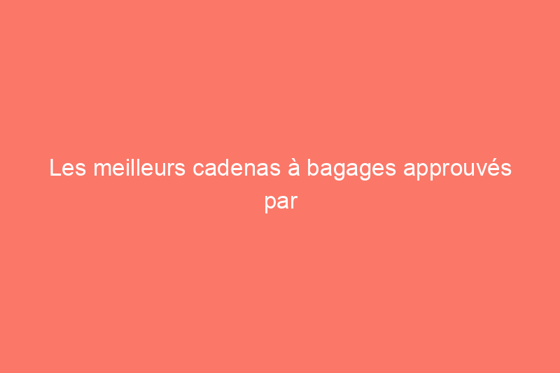 Les meilleurs cadenas à bagages approuvés par la TSA pour éviter le vol en voyage