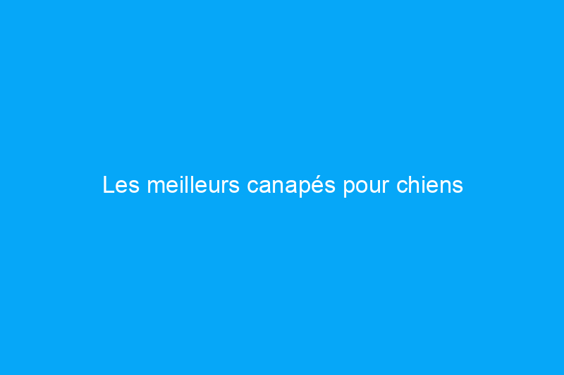 Les meilleurs canapés pour chiens