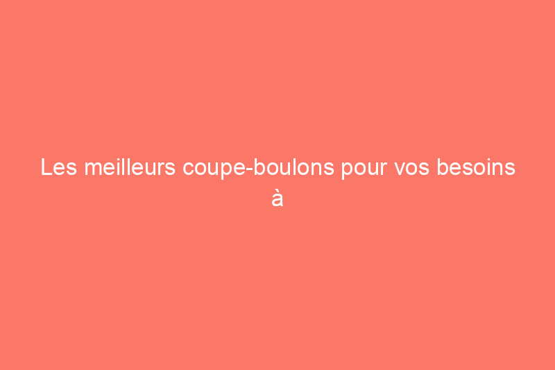 Les meilleurs coupe-boulons pour vos besoins à domicile, testés