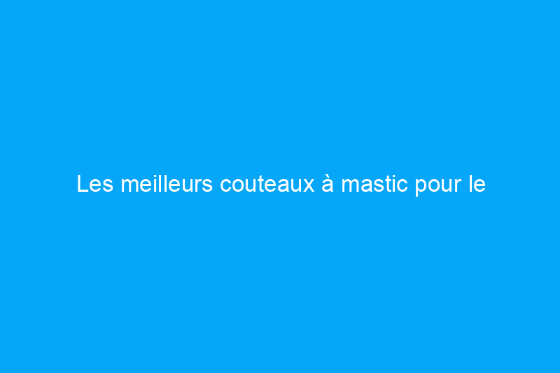 Les meilleurs couteaux à mastic pour le masticage, le grattage et le bouchage testés en 2024