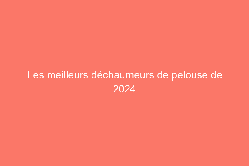 Les meilleurs déchaumeurs de pelouse de 2024 pour une croissance saine et dynamique de l'herbe, testés