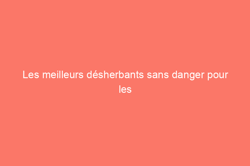 Les meilleurs désherbants sans danger pour les animaux qui fonctionnent réellement pour éliminer les mauvaises herbes et l'herbe