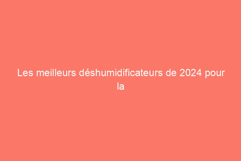 Les meilleurs déshumidificateurs de 2024 pour la maison, testés