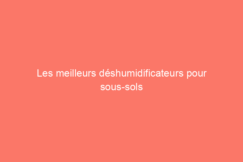 Les meilleurs déshumidificateurs pour sous-sols pour garder votre maison saine et sèche