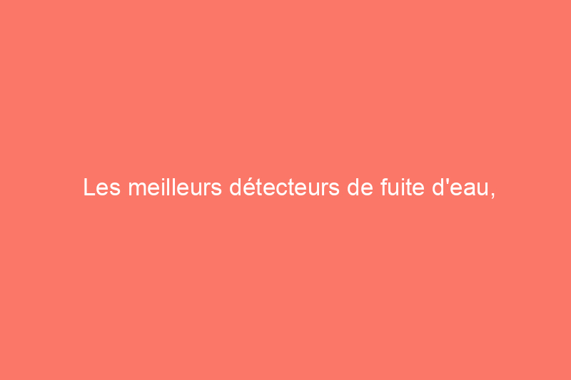 Les meilleurs détecteurs de fuite d'eau, testés et évalués