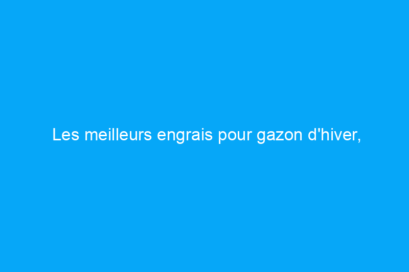 Les meilleurs engrais pour gazon d'hiver, sélectionnés