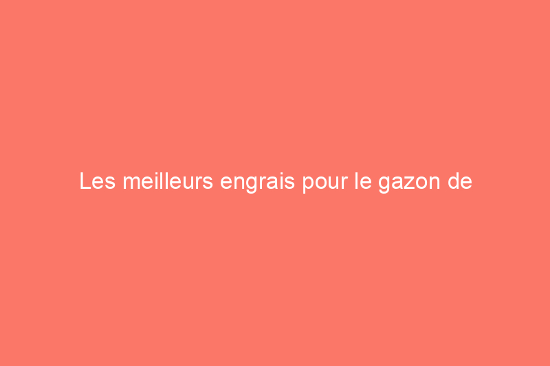 Les meilleurs engrais pour le gazon de Saint-Augustin, évalués par Bob Vila