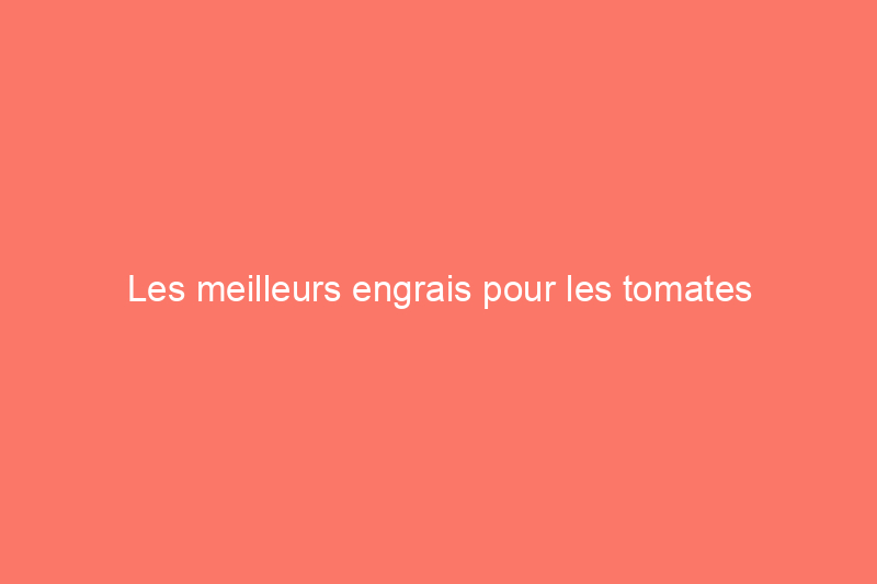 Les meilleurs engrais pour les tomates