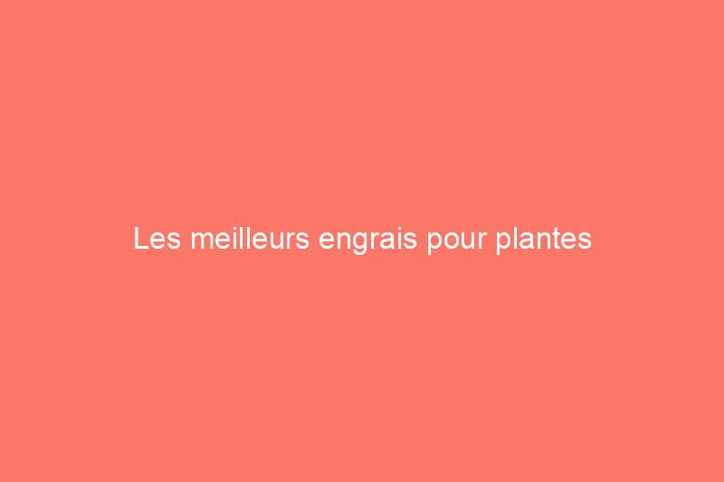 Les meilleurs engrais pour plantes d'intérieur de 2024, testés et évalués