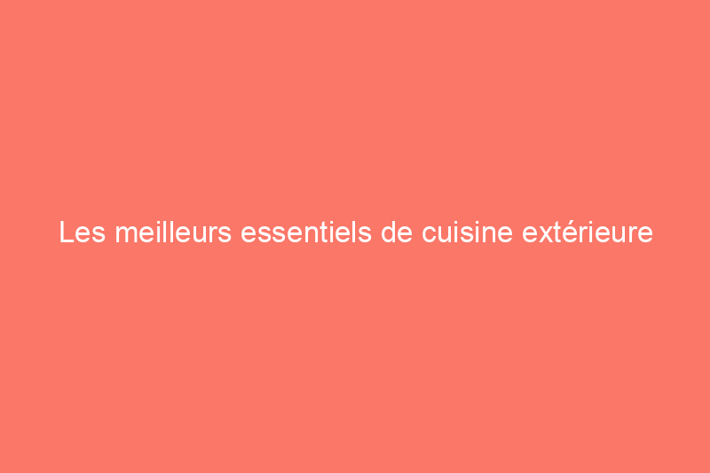 Les meilleurs essentiels de cuisine extérieure pour moins de 1 TP4T1 000