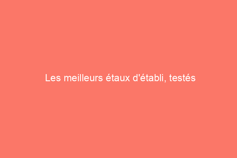 Les meilleurs étaux d'établi, testés