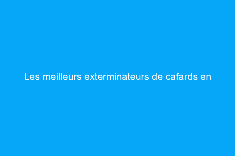 Les meilleurs exterminateurs de cafards en Amérique