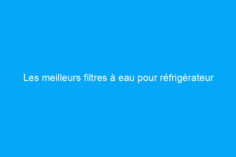 Les meilleurs filtres à eau pour réfrigérateur