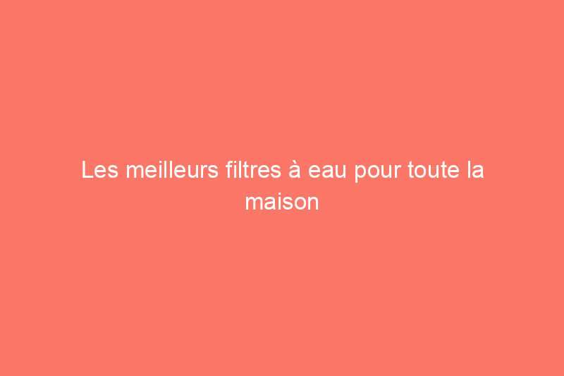 Les meilleurs filtres à eau pour toute la maison de 2024