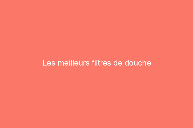 Les meilleurs filtres de douche