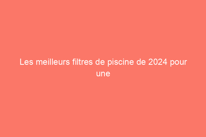 Les meilleurs filtres de piscine de 2024 pour une eau de piscine propre 