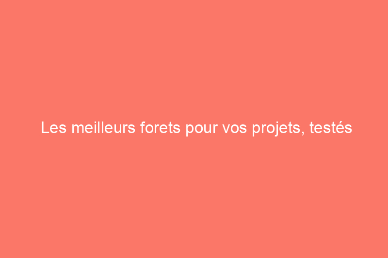 Les meilleurs forets pour vos projets, testés