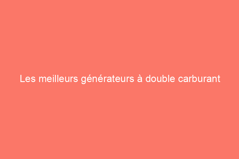 Les meilleurs générateurs à double carburant pour une utilisation à la maison et à l'extérieur, testés