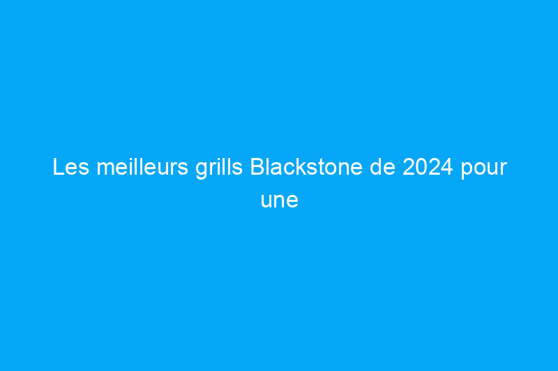 Les meilleurs grills Blackstone de 2024 pour une bonne cuisine crépitante