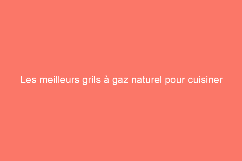 Les meilleurs grils à gaz naturel pour cuisiner sur le patio ou dans l’arrière-cour