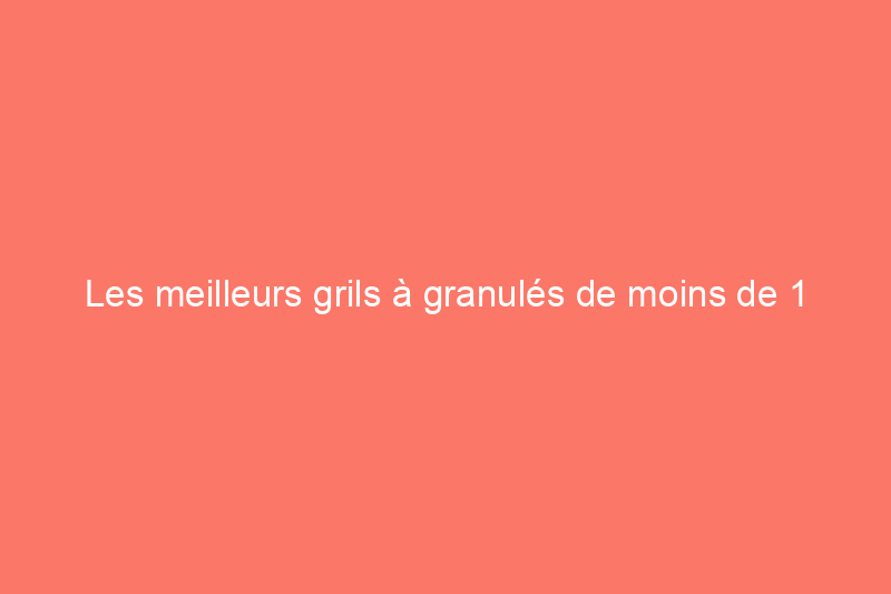 Les meilleurs grils à granulés de moins de 1 TP4T1 000 de 2024