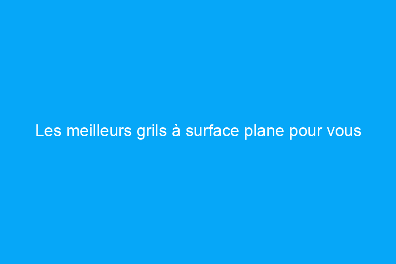 Les meilleurs grils à surface plane pour vous aider à cuisiner comme un pro