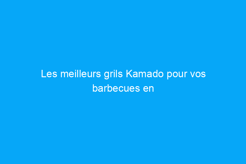 Les meilleurs grils Kamado pour vos barbecues en plein air