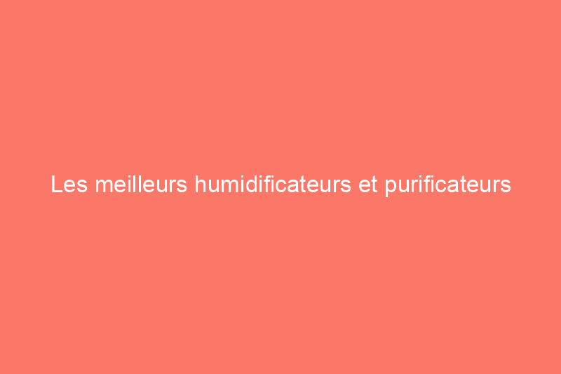 Les meilleurs humidificateurs et purificateurs d'air de 2024 pour votre maison