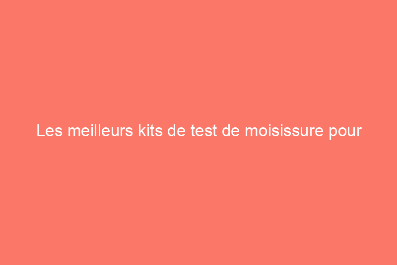 Les meilleurs kits de test de moisissure pour garantir un air sain dans votre maison