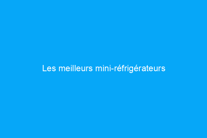 Les meilleurs mini-réfrigérateurs