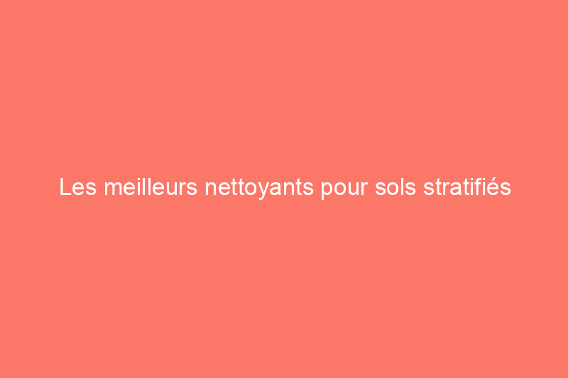 Les meilleurs nettoyants pour sols stratifiés contre la saleté, les déversements et les taches, testés