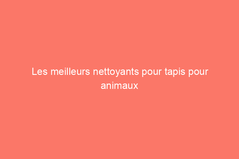 Les meilleurs nettoyants pour tapis pour animaux de compagnie pour éliminer les odeurs et les taches, testés