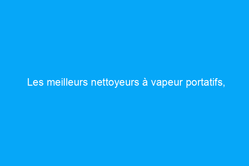 Les meilleurs nettoyeurs à vapeur portatifs, testés et évalués