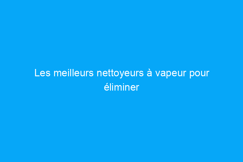 Les meilleurs nettoyeurs à vapeur pour éliminer les taches, la saleté et plus encore