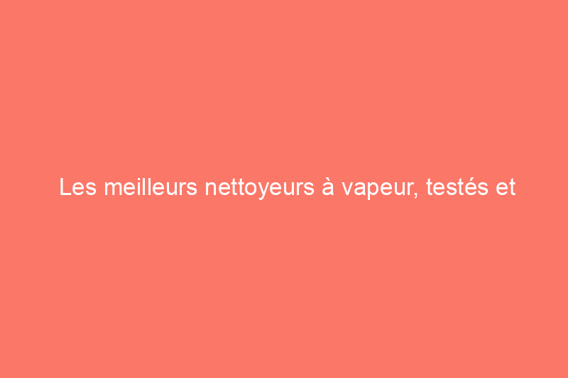 Les meilleurs nettoyeurs à vapeur, testés et évalués