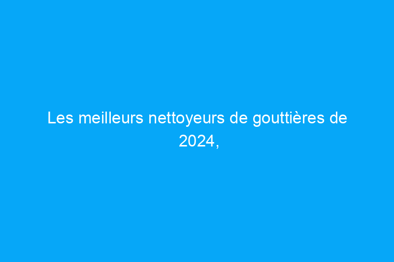 Les meilleurs nettoyeurs de gouttières de 2024, testés et évalués