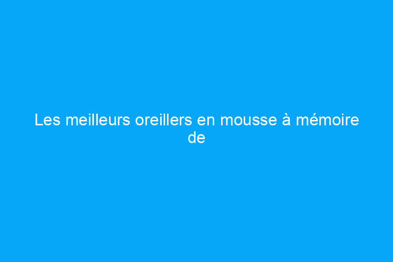 Les meilleurs oreillers en mousse à mémoire de forme soutiennent l'alignement de la colonne vertébrale toute la nuit