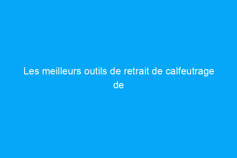 Les meilleurs outils de retrait de calfeutrage de 2024 pour votre trousse à outils, testés