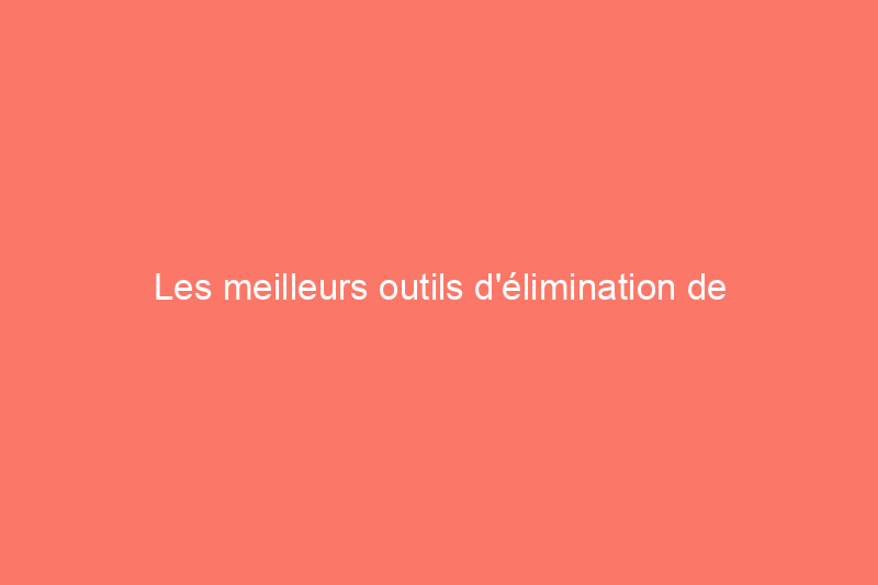 Les meilleurs outils d'élimination de coulis de 2024 pour les rénovations DIY, testés