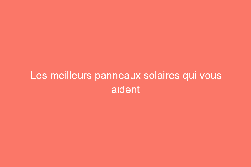 Les meilleurs panneaux solaires qui vous aident à réduire vos coûts énergétiques