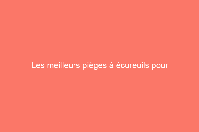 Les meilleurs pièges à écureuils pour éloigner les nuisibles en 2024 