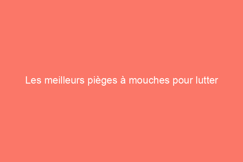 Les meilleurs pièges à mouches pour lutter contre les nuisibles, testés